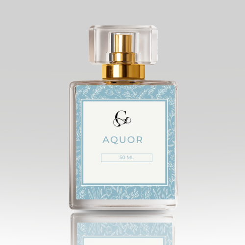 Aquor  - Impression of Bleu De Chanel
